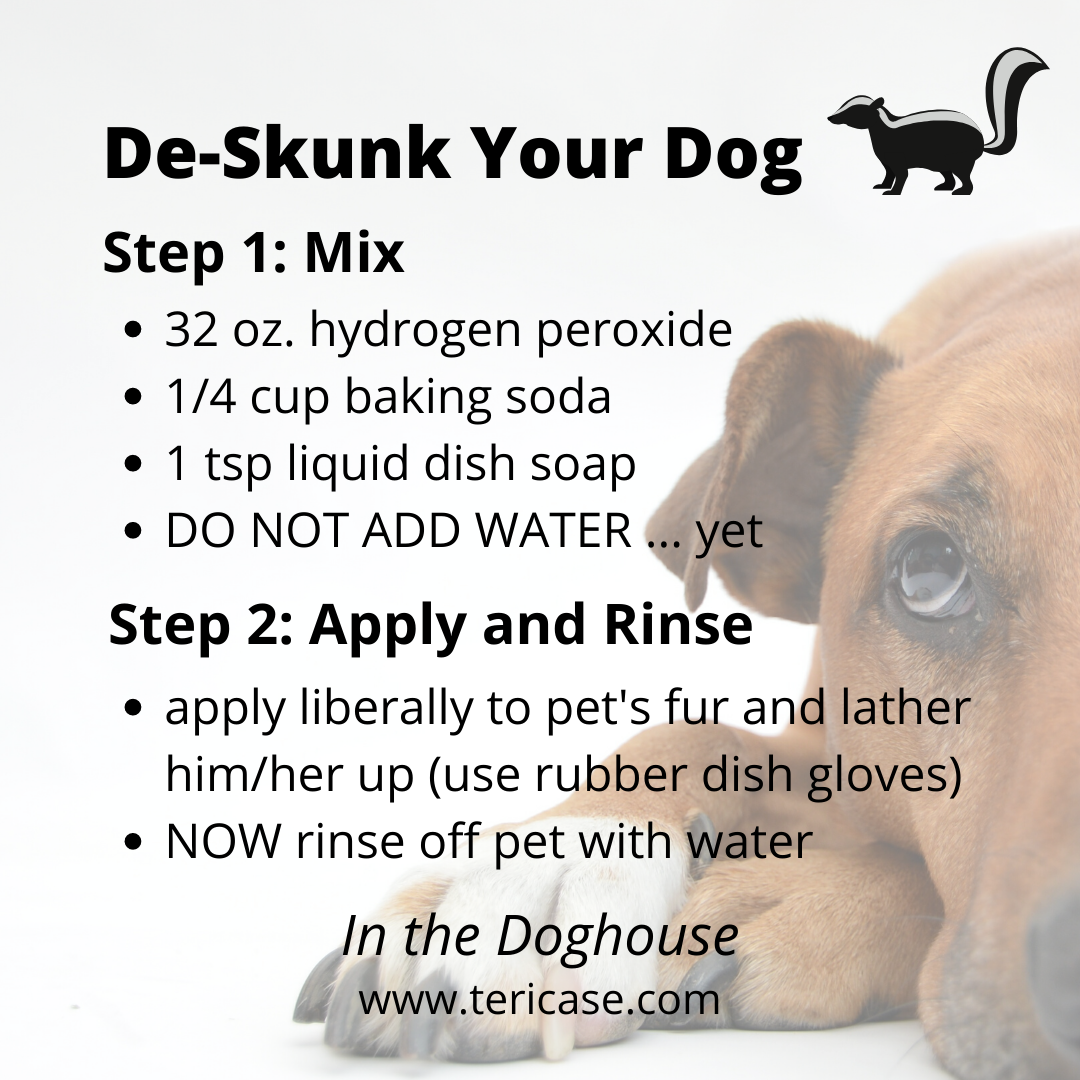 Dog foaming at mouth after skunk spray sale